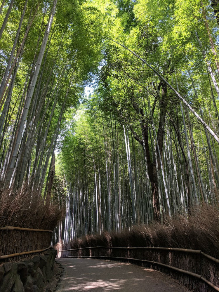 Kyoto_08